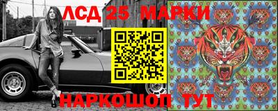 спиды Можга