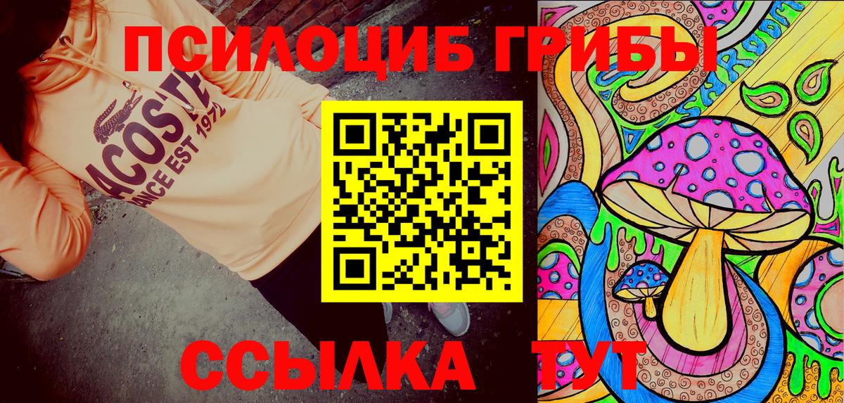 Псилоцибиновые грибы Psilocybe Выкса