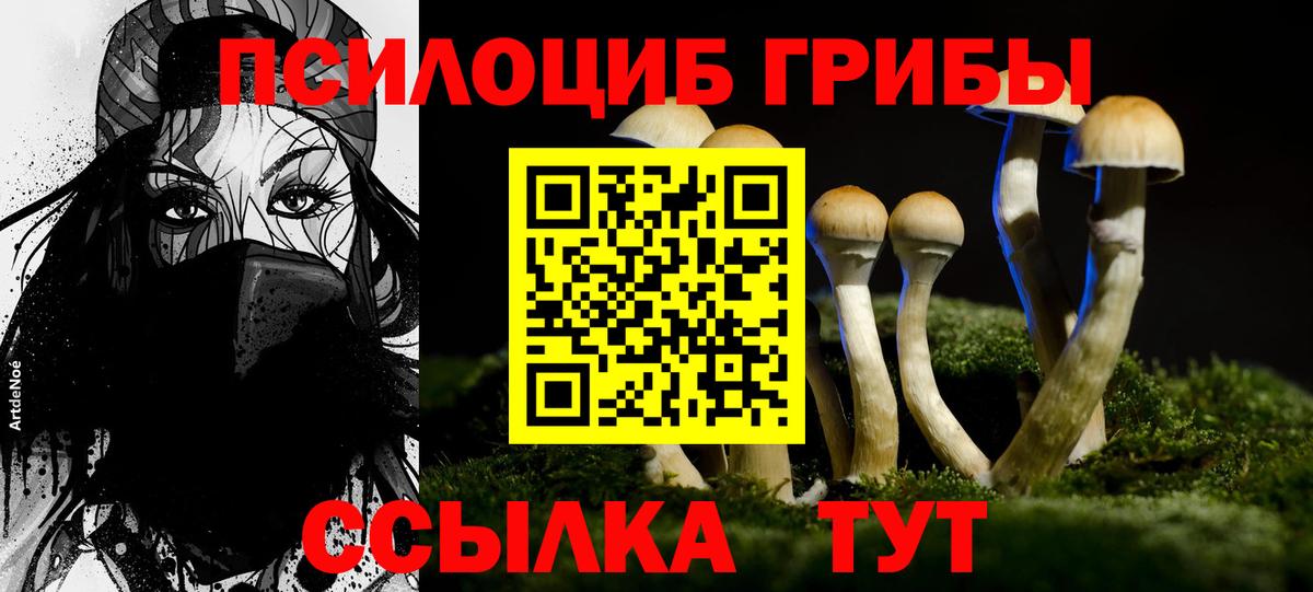 Псилоцибиновые грибы Psilocybe Выкса